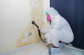  Adamsville, AL Mold Remediation Pros